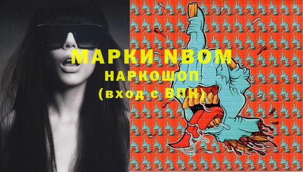 ешки Белокуриха