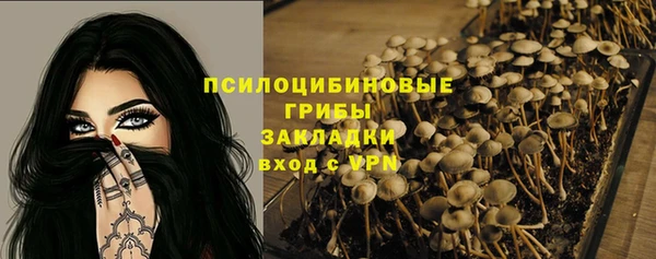 ешки Белокуриха