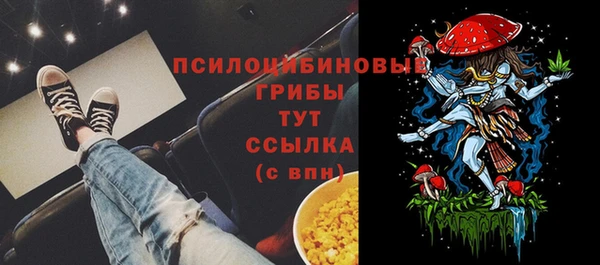 ешки Белокуриха